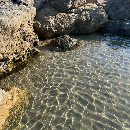 Nilu Near Rome Giubileo 2025 Nettuno